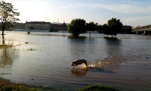 pátranie po Robinsonovi . . .