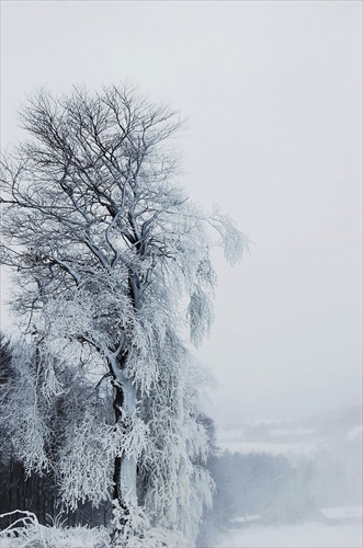 Snehová búrka