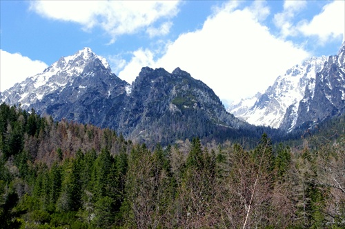 Vysoké Tatry