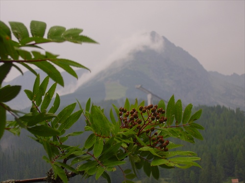 Tatry v daždi