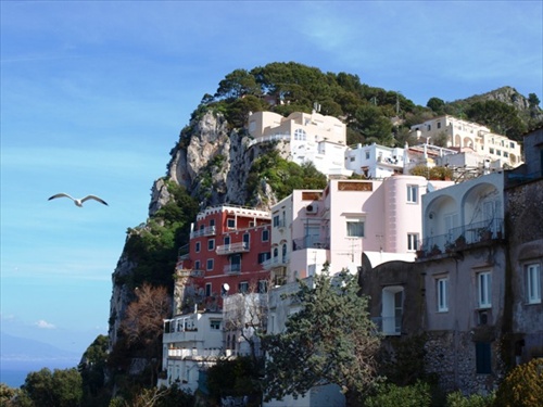 Capri