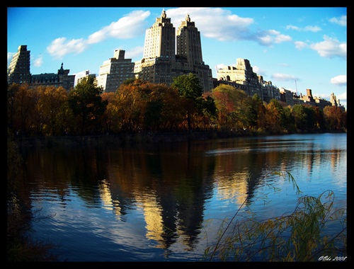 ..Central Park..