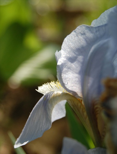 in the sunshine