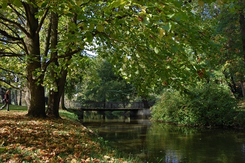 zámocký park