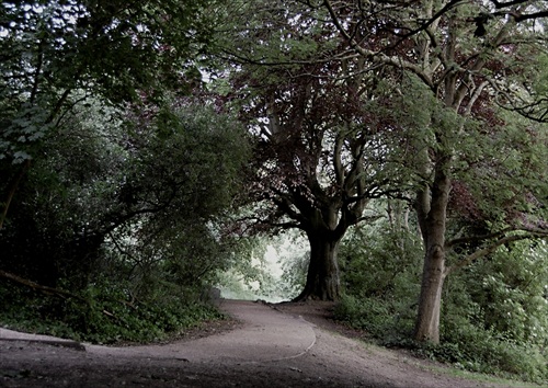 hampstead heath