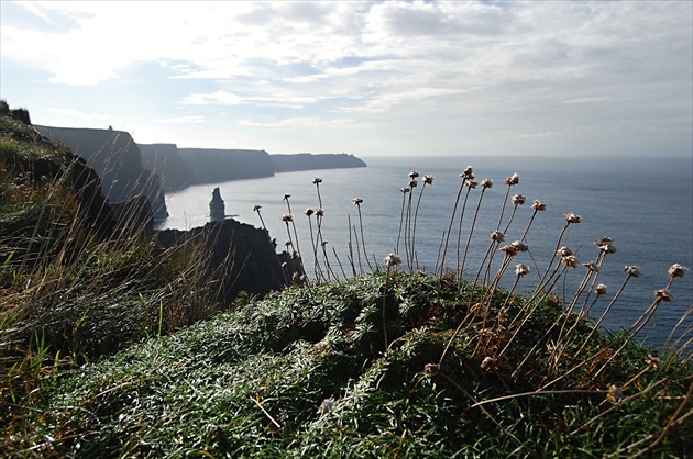 Cliffs of Moher