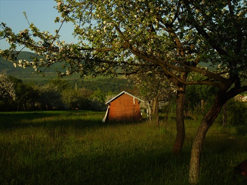 dedkov včelín