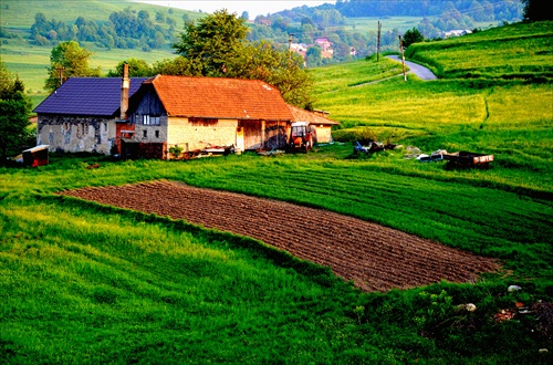 Podvečer v Piešti II.