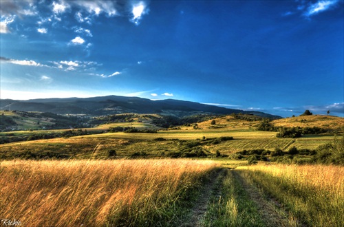 Poľana nad Detvou V.