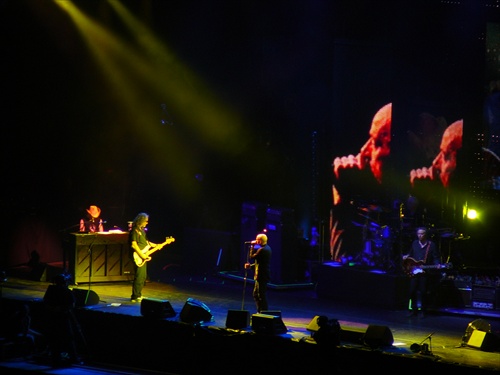 R.E.M. 2008