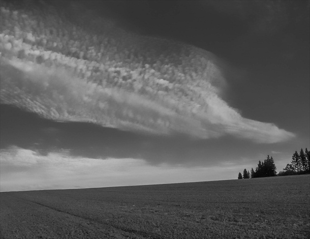 oblak nad poľom