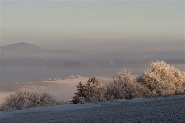 decembrové ráno II