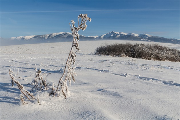 Západné Tatry