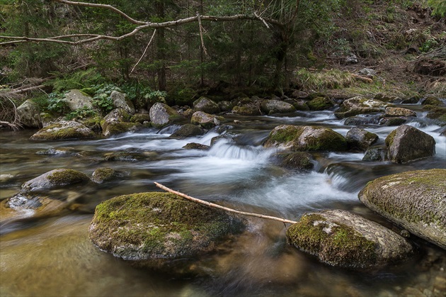 Smrečianka