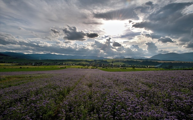 Liptov