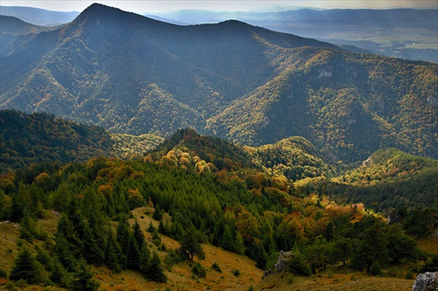 v jesennom šate