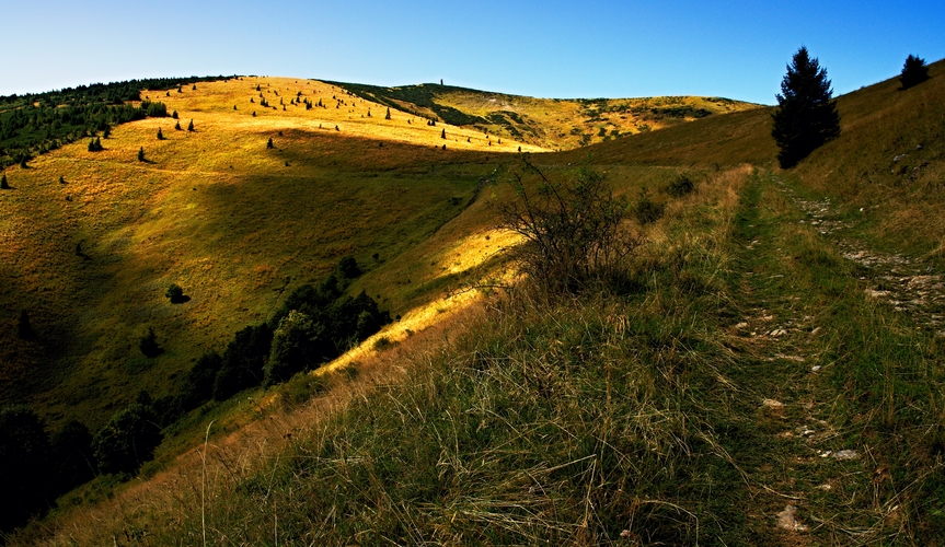 Veľkofatranské línie 