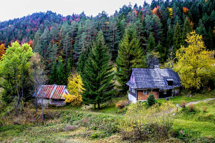 Prašnica 