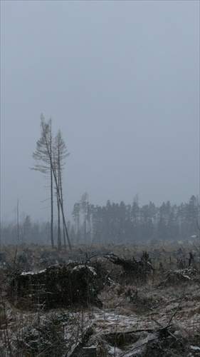 TATRY