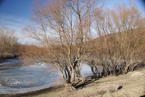 Pod hradom Devín