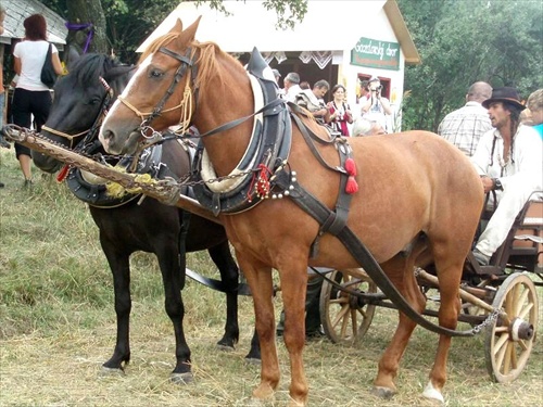 Hontianska paráda 2009 - Hrušov