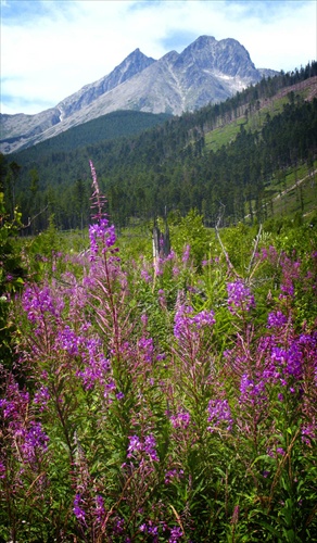 V.Tatry od Kežm.Žľabov