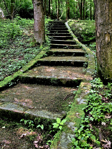 Zabudnutý chodník