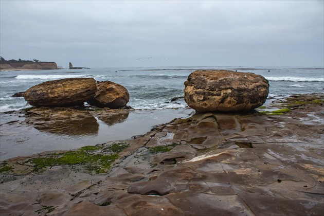 Coast Dairies State Park