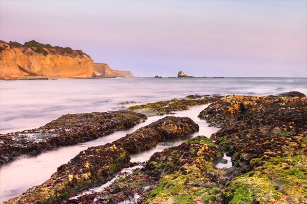 Greyhound rock beach