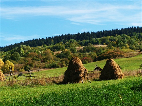 Príprava na zimu