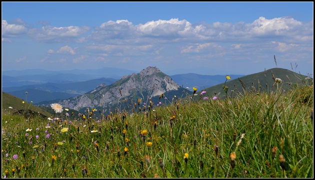 Veľký Rozsutec, Malá Fatra