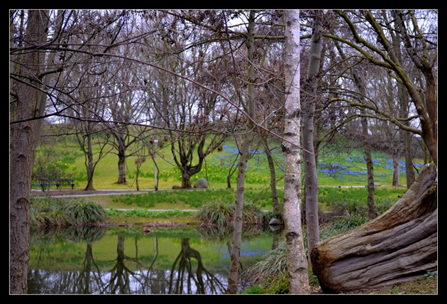 Luisen Park Manheim