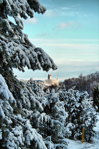 Topoľčiansky hrad