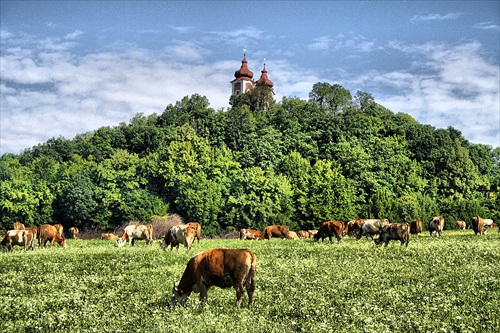 kalvária Banská Štiavnica