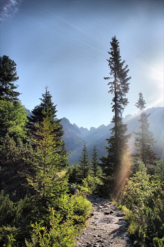 Vysoké Tatry