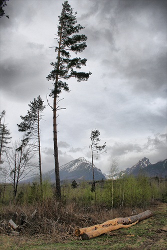 Vysoké Tatry cesta do Lomnice