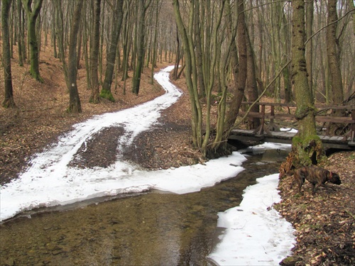 (922) Ami na sobotňajšiom výlete