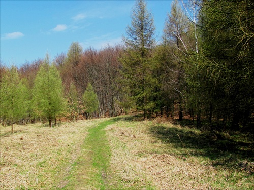 (954) Cestou po modrej z Krasňan do Marianky