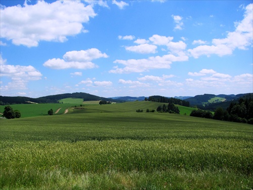 (1052) Aj pardubická vrchovina je pekná