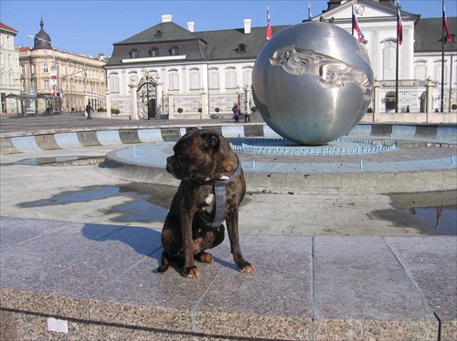 (1300) Ami v deň volieb do parlamentu a bez volebného práva