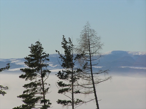 Tatry