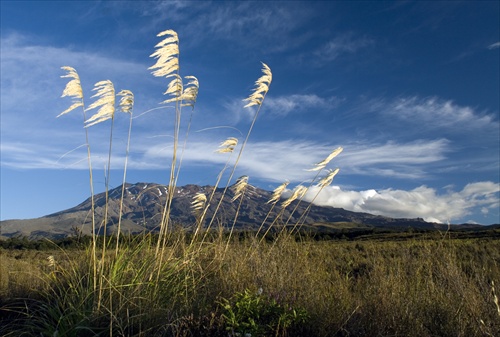 Mt Ruapehu