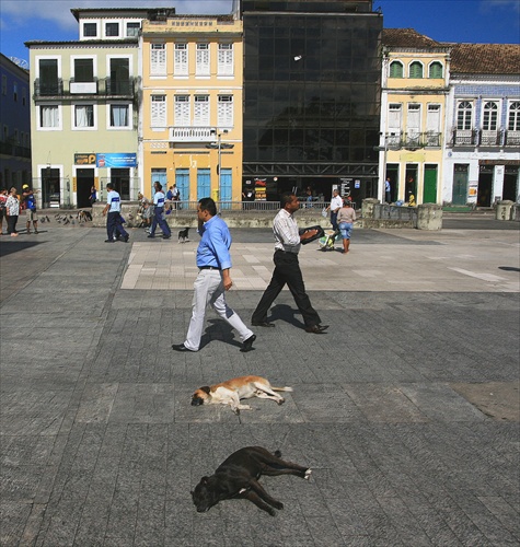 OS CÁOS SALVADOR