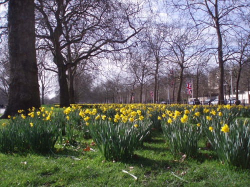 jar v St. Jameses's park