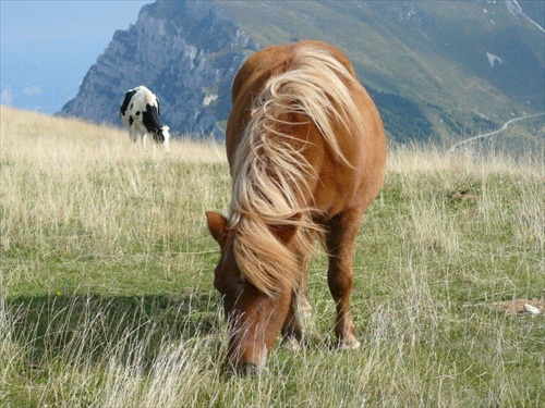 Monte Baldo