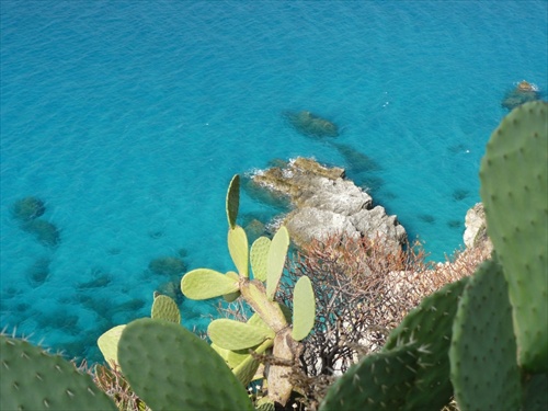 Capo Vaticano