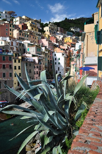 Riomaggiore