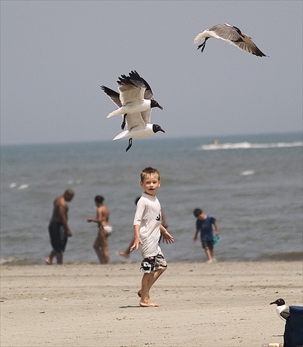 beautiful sunny day at the beach