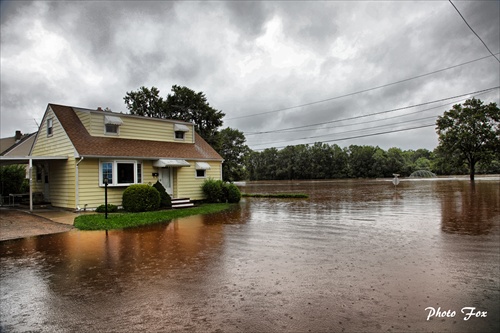 Flash Flood