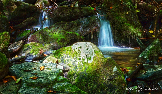 Bushkill Falls